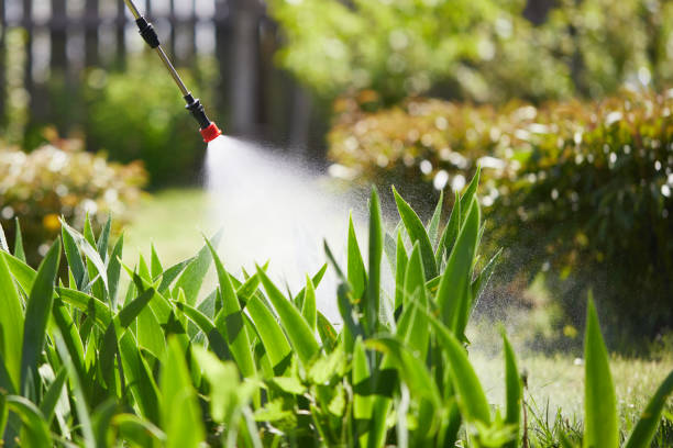 Tamper-Resistant Bait Stations for Rodents in Grand Bay