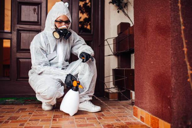 Attic and Crawl Space Rodent Treatment in Grand Bay